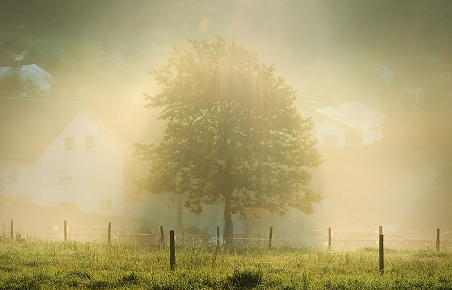 验证码代充的攻击网站的方法